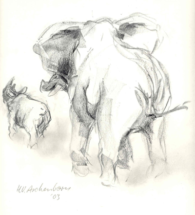 Bild Elefant mit Nashorn von Uli Aschenborn